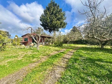 Foto Rustico in via delle spinare 1, Manziana di 50 m² con 3 locali