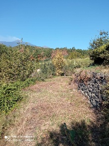 Foto Terreno agricolo in Contrada Crisafulli S.N, Giarre Centro di 6895 m²