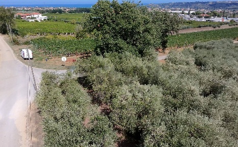 Foto Terreno residenziale in C.da Cerreto, Miglianico di 650 m² in vendita