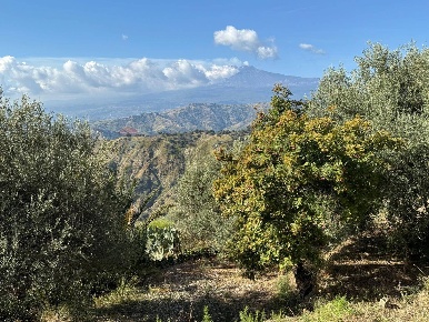 Foto Rustico in Contrada Grimaudo S.N, Castelmola di 51 m² con 1 locali