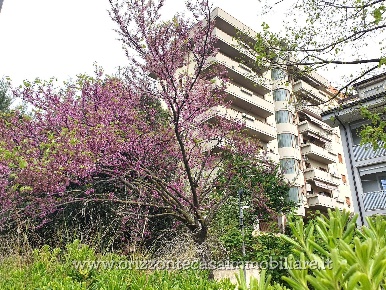 Foto Appartamento a Ascoli Piceno di 151 m² con 8 locali in vendita