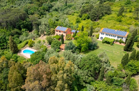 Foto Casale a Vecchiano di 750 m² con 23 locali in vendita