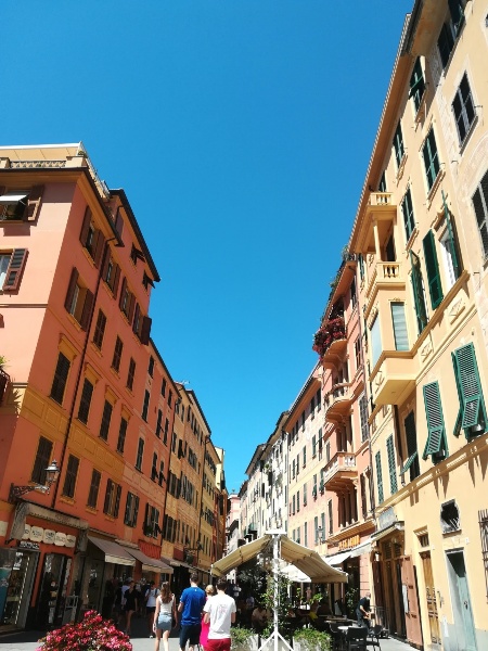 immagine annuncio 2 di 7