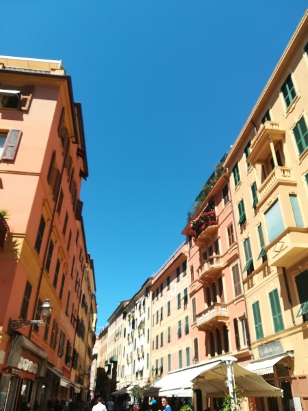 immagine annuncio 3 di 7