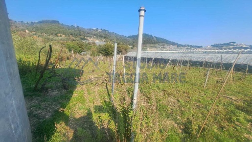 Foto Terreno agricolo in Strada Collette Beulle, Sanremo Bussana di 6100 m²