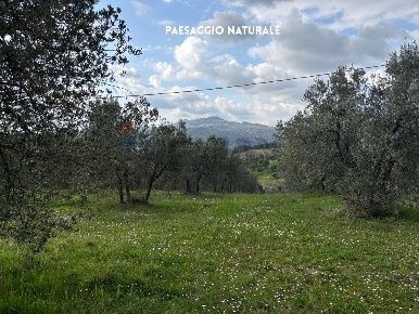Foto Terreno agricolo in STRADA PROVINCIALE LOC. MONTECALVO snc, di 9740 m²