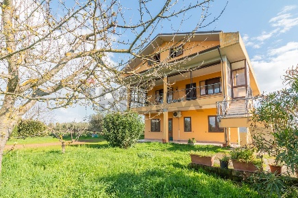 Foto Casa indipendente in Strada Castrense km 9800 snc, Canino di 300 m²