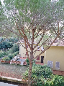 Foto Appartamento a Rosignano Marittimo Castiglioncello di 70 m² in vendita