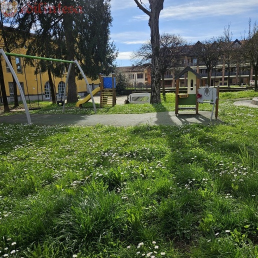 immagine annuncio 5 di 15