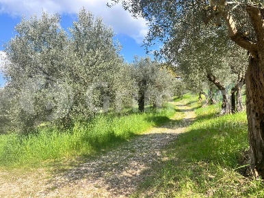 Foto Terreno residenziale in canova, Perugia San Sisto - Lacugnano