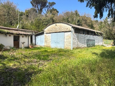 Foto Locale commerciale in Via Santa Apollaria, Zagarolo di 300 m²