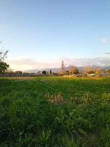 Foto Villa a schiera a Viareggio Bicchio - Varignano di 140 m² con 5 locali