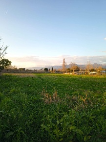 Foto Terreno agricolo a Viareggio Bicchio - Varignano di 4000 m² in vendita