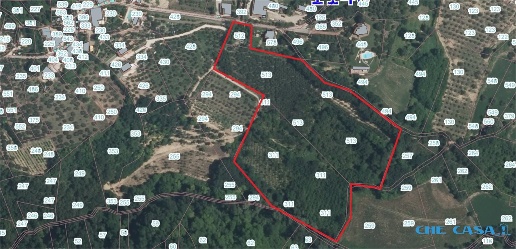 Foto Terreno a Montefiore Conca di 6600 m² in vendita