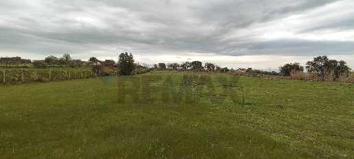 Foto Terreno agricolo in CONTRADA PIANO EVOLI sn, Caltagirone di 9820 m²