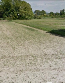 Foto Terreno agricolo in via fratelli rosselli, Camaiore Lido di Camaiore