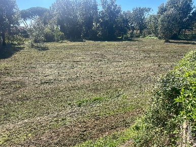 Foto Terreno residenziale in via della libertà 8, Altopascio di 1000 m²