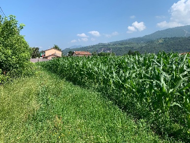 Foto Terreno agricolo in Via Del Lago Pietrasanta, Pietrasanta di 2500 m²
