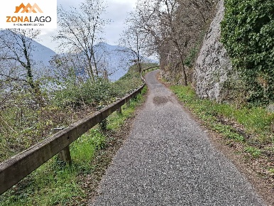 Foto Terreno agricolo in VIA PROVINCIALE 15, Marone Vello di 2000 m²