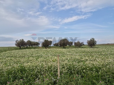 Foto Terreno agricolo in Contrada Bonincontro, Vittoria di 9970 m²