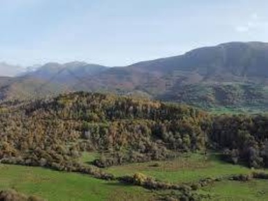 Foto Terreno agricolo a Mercato Saraceno di 54294 m² in vendita