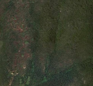 Foto Terreno agricolo in Località Filetto, Campo nell'Elba di 24240 m²