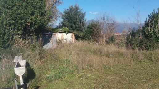 Foto Terreno agricolo in via fratelli rosselli, Camaiore Lido di Camaiore