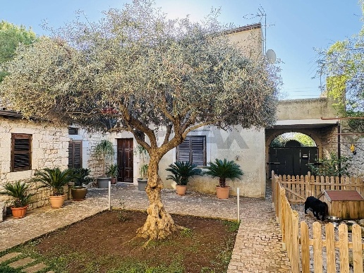 immagine annuncio 3 di 6