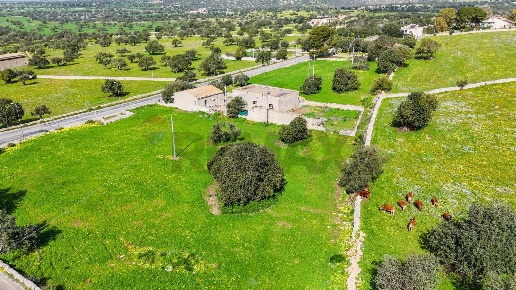 immagine annuncio 3 di 14