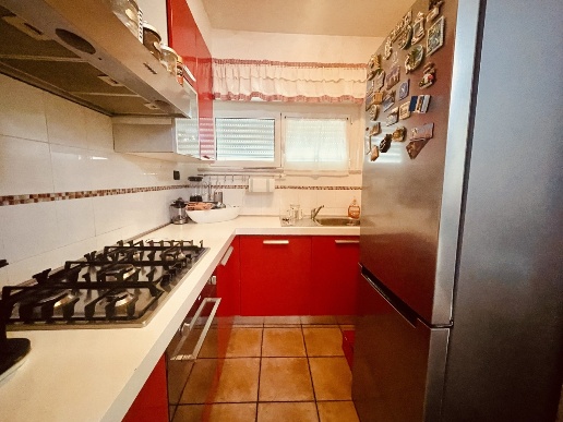 immagine annuncio 4 di 14