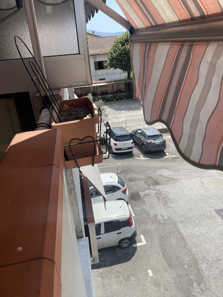 immagine annuncio 11 di 14