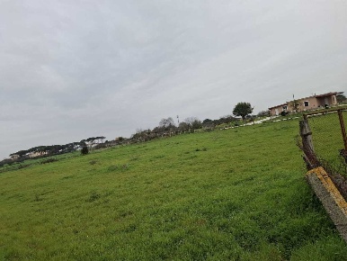 Foto Terreno agricolo in Via del Pino, Nettuno Cioccati, Zucchetti