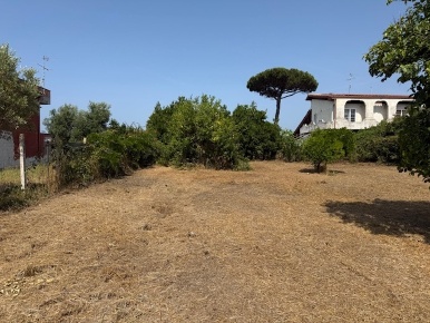 Foto Terreno edificabile in Via Viminale, Nettuno Cioccati, Zucchetti