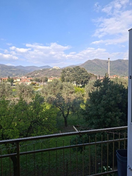 immagine annuncio 5 di 12
