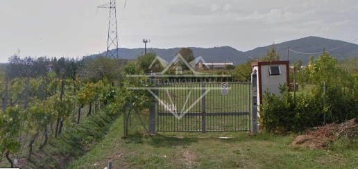 Foto Terreno agricolo a Castelnuovo Magra Colombiera Molicciara di 1000 m²