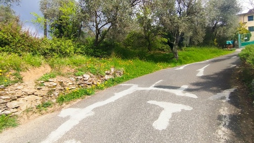 Foto Terreno agricolo a Fosdinovo di 2576 m² in vendita