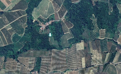 Foto Terreno agricolo a Santa Giuletta di 53969 m² in vendita