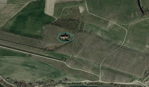 immagine annuncio 1 di 2