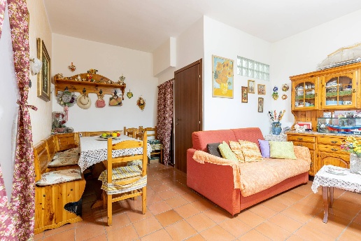 immagine annuncio 12 di 14