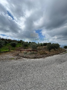 Foto Terreno agricolo in località boschetto, Domicella di 3600 m²