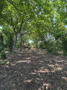 Foto Terreno residenziale in STRADA STATALE 403, Pago del Vallo di Lauro