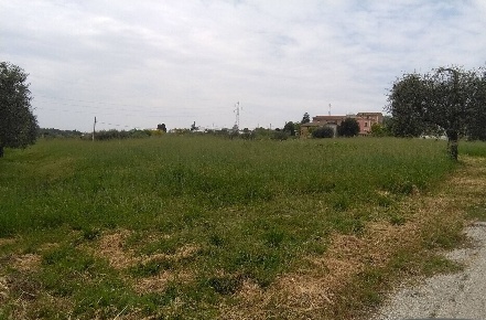Foto Terreno residenziale a Tortoreto Salino di 1000 m² in vendita