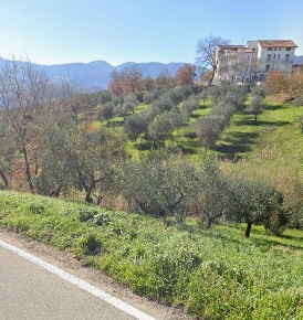 Foto Terreno agricolo a Foglianise di 2200 m² in vendita