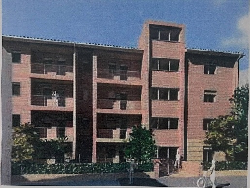 immagine annuncio 5 di 14