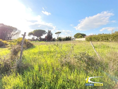 Foto Terreno edificabile in via dei faggi, Ladispoli di 2470 m² in vendita