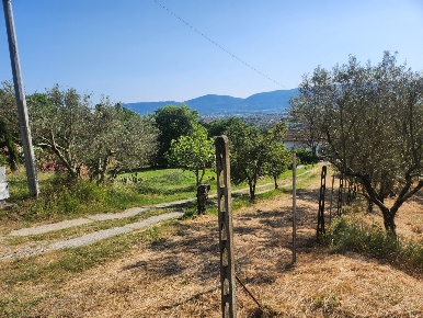 Foto Terreno agricolo a Castelnuovo Magra di 6175 m² in vendita