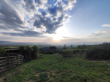 Foto Terreno agricolo in SP53a 53, Tivoli in vendita