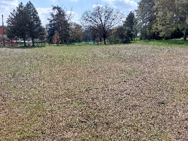 Foto Terreno residenziale in via Alfredo Grilli, Imola Ponticelli