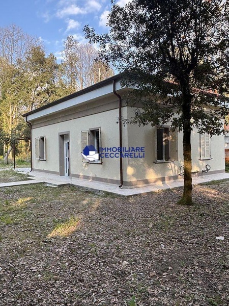 immagine annuncio 3 di 8