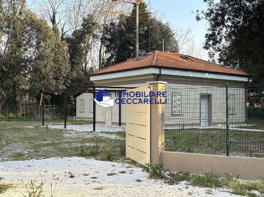 immagine annuncio 6 di 8